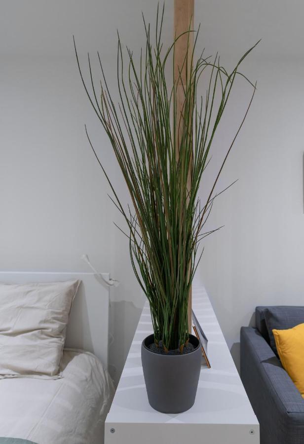 ※Perrier Menthe※ Hyper-Centre Et Tranquillite Apartamento Clermont-Ferrand Exterior foto